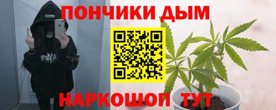 индика Рязань