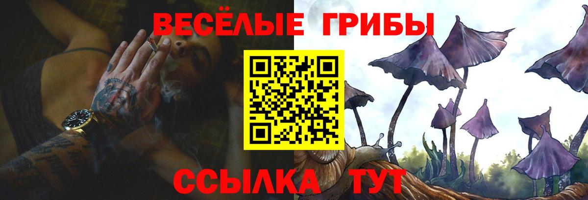 Галлюциногенные грибы мицелий Петропавловск-Камчатский