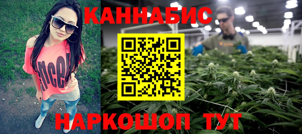 Каннабис гибрид Петропавловск-Камчатский